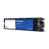 SSD Merevlemez Western Digital WD Blue 1TB M.2 2280 SATA 6Gb/s TLC | WDS100T3B0B