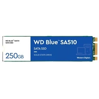 SSD Merevlemez Western Digital WD Blue SA510 250GB M.2 2280 TLC | WDS250G3B0B