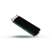 SSD Merevlemez Goodram DC10M 960GB E1.S NVMe PCIe 4.0 | GEDC10S100-960NS10B