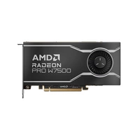 Grafikus kártya Radeon AMD Radeon Pro 8GB GDDR6 | 100-300000078