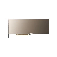 Grafikus kártya PNY Nvidia A100X 40GB HBM2 | TCSA100XM-80GB-PB