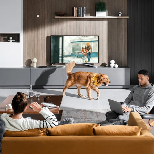 Intelligens érzékelő Aqara Presence Sensor FP2 | PS-S02D