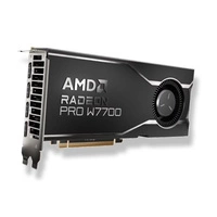 Grafikus kártya Radeon AMD Radeon Pro 16GB GDDR6 | 100-300000006